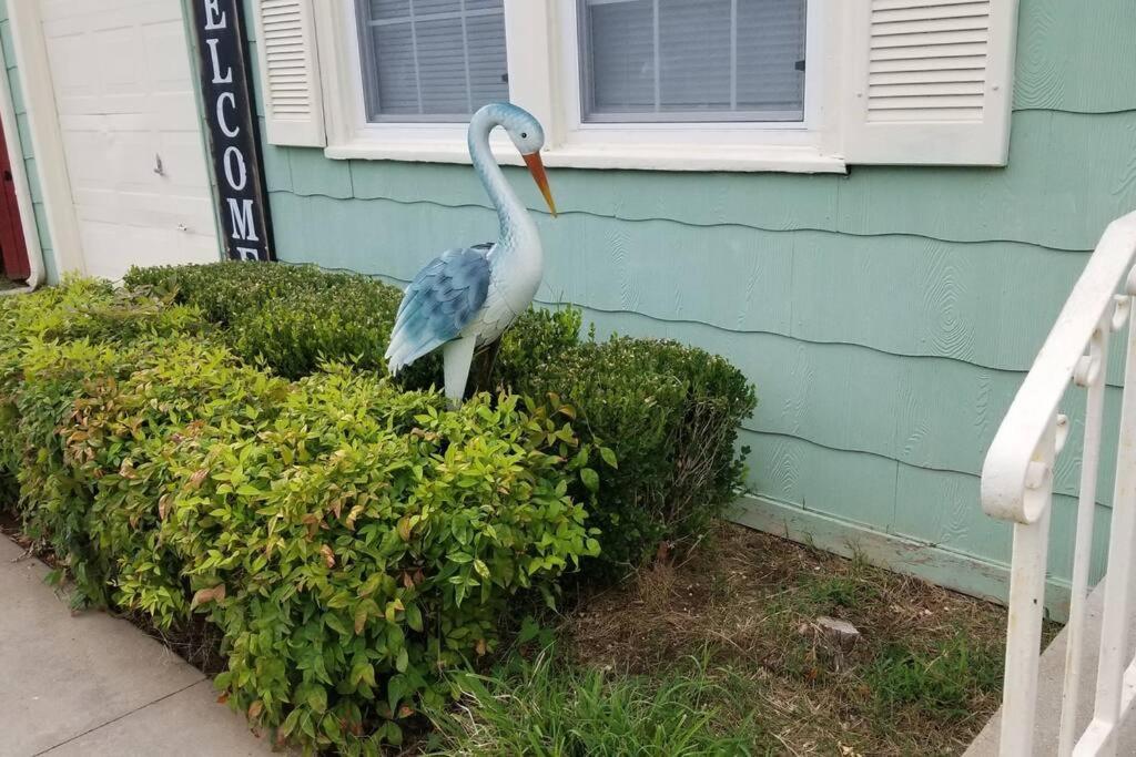 Blue Flamingo'S Charming Home-Heart Of Tulsa2- Cherry St-Expo-11Th Extérieur photo